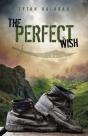 The Perfect Wish - Preview