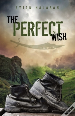 Capa do artigo The Perfect Wish