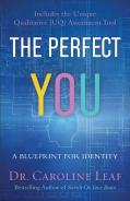 The Perfect You Â€“ A Blueprint For Identity