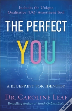 Capa do artigo The Perfect You Â€“ A Blueprint For Identity