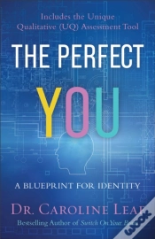 Capa do artigo The Perfect You Â€“ A Blueprint For Identity