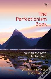 Capa do artigo The Perfectionism Book
