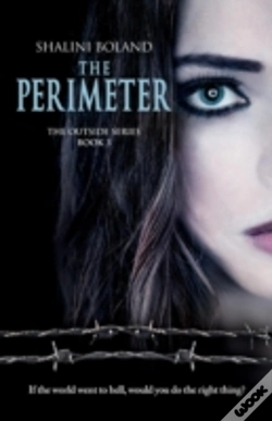 Capa do artigo The Perimeter