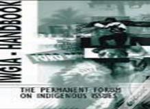 The Permanent Forum On Indigenous Issues