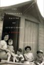 The Permanent Nature Of Everything - Preview