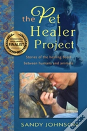 Capa do artigo The Pet Healer Project
