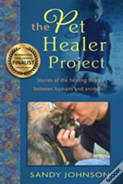 Capa do artigo The Pet Healer Project