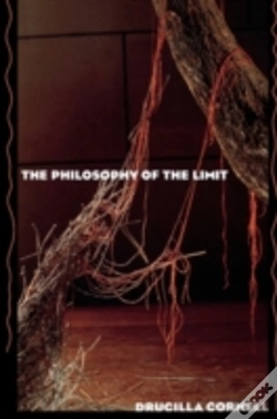 Capa do artigo The Philosophy Of The Limit