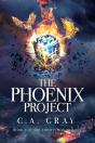 The Phoenix Project - Preview