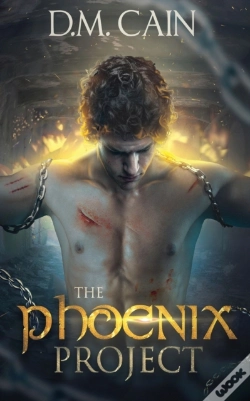Capa do artigo The Phoenix Project