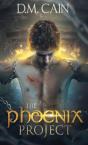 The Phoenix Project - Preview