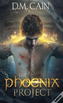 Capa do artigo The Phoenix Project