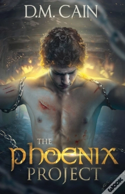 Capa do artigo The Phoenix Project