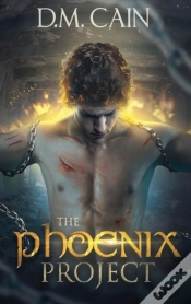 Capa do artigo The Phoenix Project