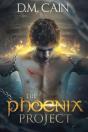 The Phoenix Project - Preview
