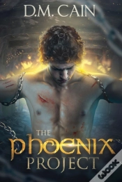 Capa do artigo The Phoenix Project