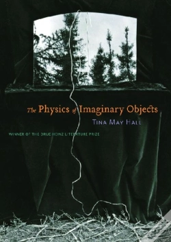 Capa do artigo The Physics Of Imaginary Objects