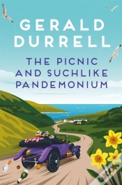 Capa do artigo The Picnic And Suchlike Pandemonium