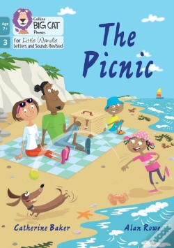 Capa do artigo The Picnic