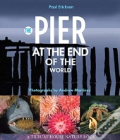 The Pier At The End Of The World