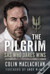Capa do artigo The Pilgrim