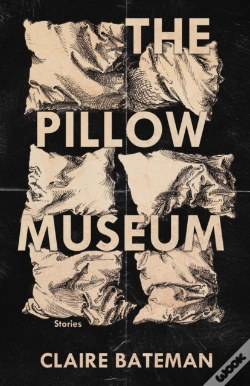 Capa do artigo The Pillow Museum