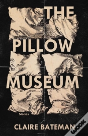 Capa do artigo The Pillow Museum