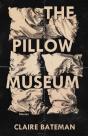 The Pillow Museum - Preview