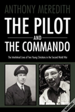 Capa do artigo The Pilot And The Commando