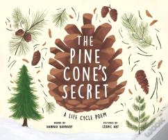 The Pine Cone'S Secret