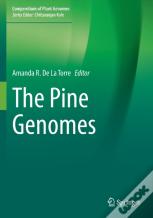 The Pine Genomes