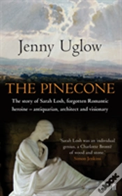 Capa do artigo The Pinecone