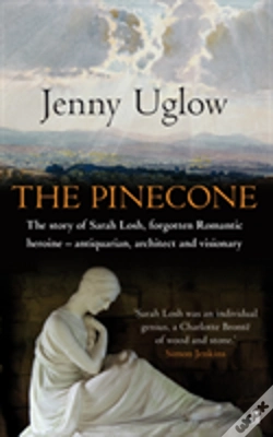 Capa do artigo The Pinecone