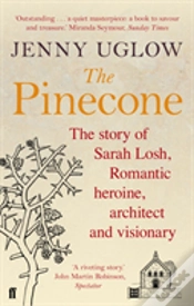 Capa do artigo The Pinecone