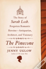 Capa do artigo The Pinecone