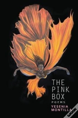 Capa do artigo The Pink Box