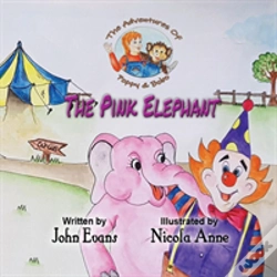 Capa do artigo The Pink Elephant