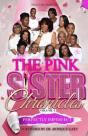 The Pink Sister Chronicles - Preview