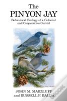 The Pinyon Jay