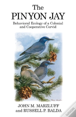 Capa do artigo The Pinyon Jay