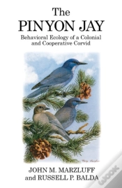 Capa do artigo The Pinyon Jay