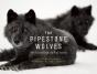 The Pipestone Wolves - Preview
