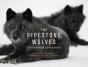 The Pipestone Wolves - Preview