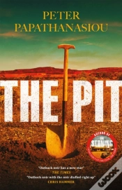 Capa do artigo The Pit