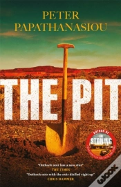 Capa do artigo The Pit