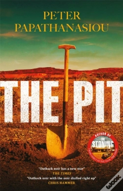 Capa do artigo The Pit