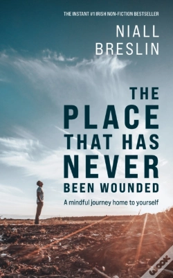Capa do artigo The Place That Has Never Been Wounded