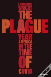 Capa do artigo The Plague Year