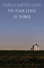 The Plain Sense Of Things - Preview