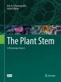 The Plant Stem - Preview